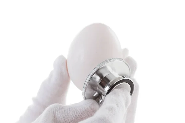 Здоровий Стетоскоп Яйце Медична Курка Органічна — стокове фото