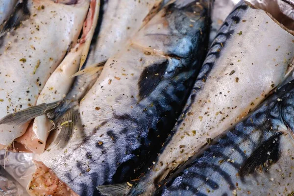Σκουμπρί Ψάρια Θαλασσινά Υγιεινά Τρόφιμα Γκουρμέ — Φωτογραφία Αρχείου