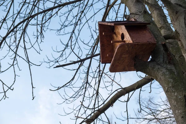 Casa Pájaros Madera Una Rama Árbol Parque Otoño Contra Cielo — Foto de Stock