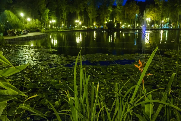Grand Lotus Épine Étang Dans Parc — Photo
