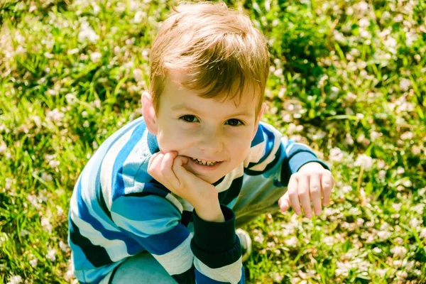 Niño Campo Hierba Niño Infancia Diente León Diversión Exterior —  Fotos de Stock