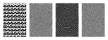 Vektör soyut biyolojik yayılma. geometrik modern