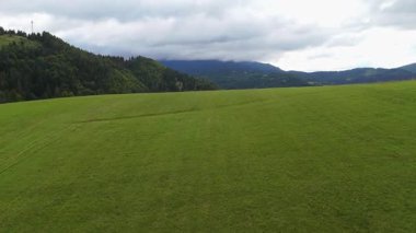 Bir dağ vadisinde geniş, açık yeşil bir çayırı görüntüler. Çevredeki tepeler sık bir ormanla kaplıdır. Gökyüzü bulutlarla kaplı, sakin ve doğal bir hava yaratıyor.