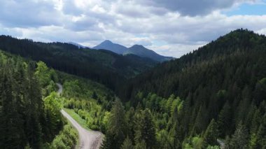 Yavaş bir hava aracı videosu, yemyeşil bir dağ vadisinde hareket eden dolambaçlı bir yolu yakalıyor. Yolun iki tarafında da yoğun ormanlar var. Uzak tepelere doğru ilerliyorlar.