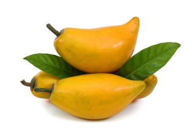 Olgun pouteria lucuma beyaz arka planda izole