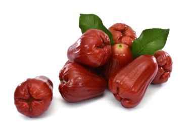 Beyaz zemin üzerinde olgun gül elması (Su elması) izole edilmiş