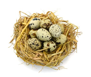 Kamışdaki bıldırcın yumurtaları