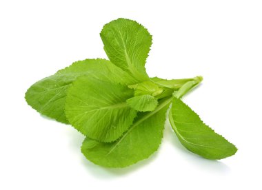 Taze yeşil yapraklı lahana sebzesi (brassicaceae) beyaz arka planda izole edilmiştir.
