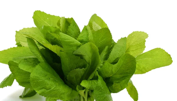 Νωπά Πράσινα Φυλλώδη Λαχανικά Kale Brassicaceae Απομονωμένα Λευκό Φόντο — Φωτογραφία Αρχείου