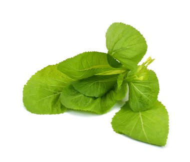 Taze yeşil yapraklı lahana sebzesi (brassicaceae) beyaz arka planda izole edilmiştir.