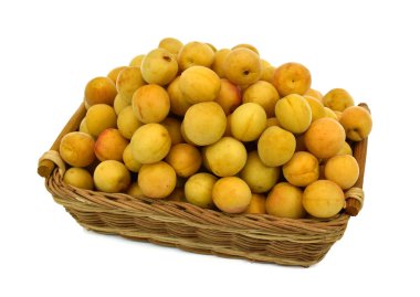 Beyaz arka planda izole edilmiş taze kayısı meyveleri.