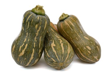 Beyaz arkaplanda kabak izole