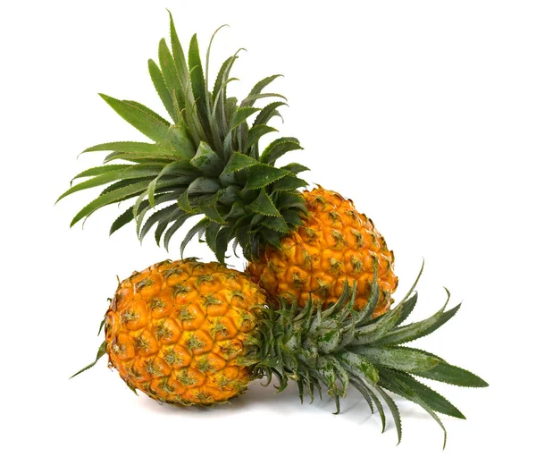 Reife Ananasfrüchte Isoliert Auf Weißem Hintergrund — Stockfoto