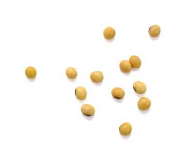 Beyaz arkaplanda soyalı soya fasulyesi