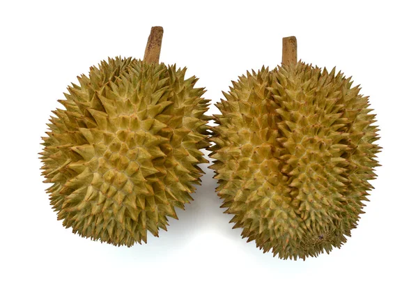 König Der Früchte Durian Isoliert Auf Weißem Hintergrund — Stockfoto