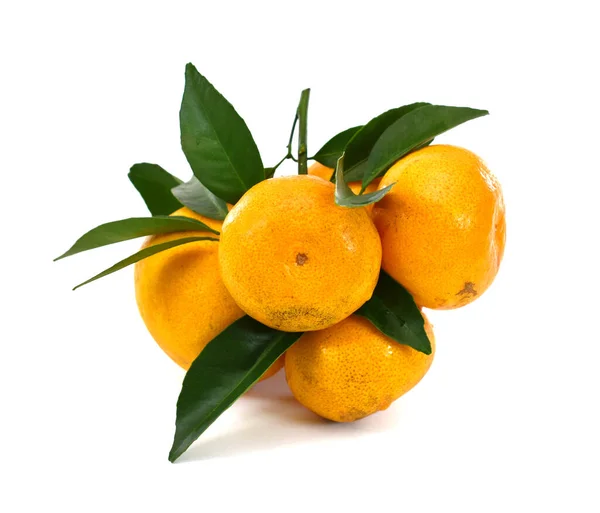 Frutos Maduros Mandarina Citrus Deliciosa Tenore Con Hojas Aisladas Sobre —  Fotos de Stock
