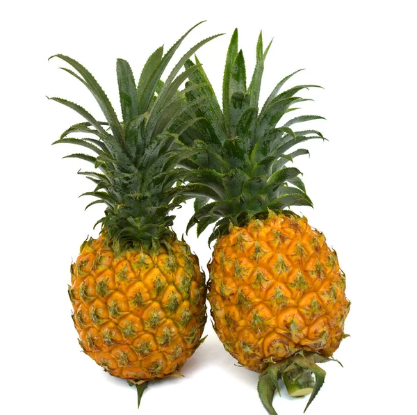 Zralý Ananas Ovoce Izolované Bílém Pozadí — Stock fotografie