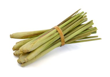 Beyaz arkaplanda taze limon otu izole edildi