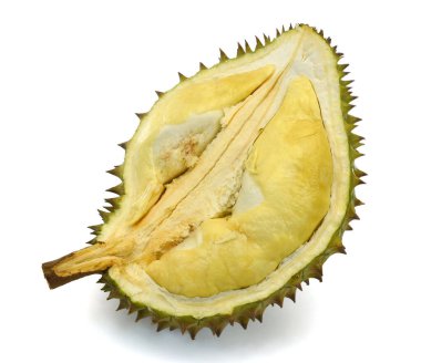 Beyaz arka planda izole edilmiş kalın dikenli olgun durian.