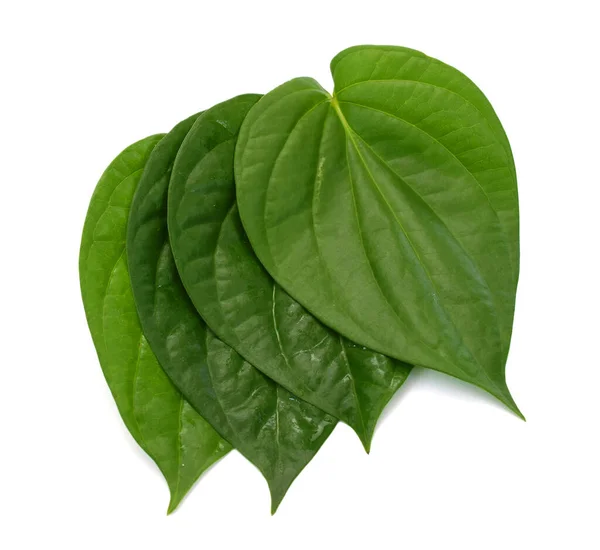 Foglia Betel Verde Isolata Sullo Sfondo Bianco — Foto Stock