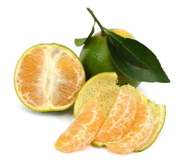 Frutos Tangerina Maduros Citrus Deliciosa Tenore Isolados Sobre Fundo Branco — Fotografia de Stock