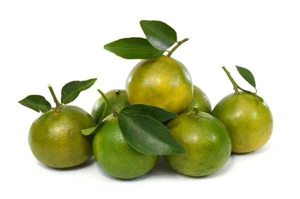 Érett Mandarin Gyümölcsök Citrus Deliciosa Tenore Izolált Fehér Alapon — Stock Fotó