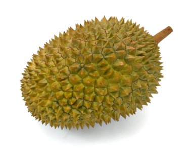 Meyve kralı, kesme yolu ile beyaz arkaplanda izole durian