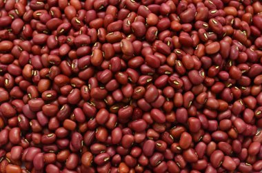 Beyaz zemin üzerinde kırmızı fasulyeler izole