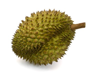 Meyve kralı, durian beyaz arka planda izole edilmiş.