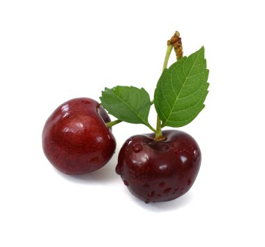 Beyaz arka planda izole edilmiş taze kiraz meyvesi