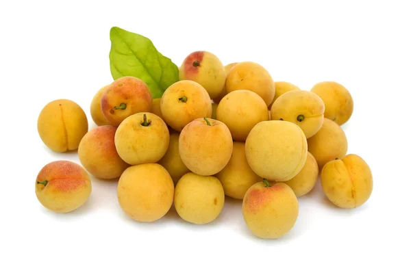 Fresh Apricot Fruit Isolated White Background — Stock Photo, Image