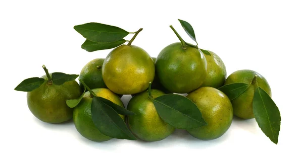 Rijpe Mandarijnen Citrus Deliciosa Tenore Geïsoleerd Witte Achtergrond — Stockfoto