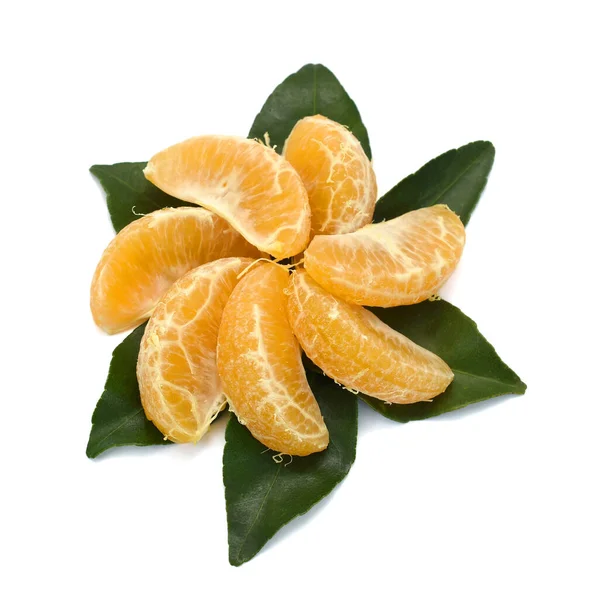 Frutos Maduros Mandarina Citrus Deliciosa Tenore Aislados Sobre Fondo Blanco — Foto de Stock