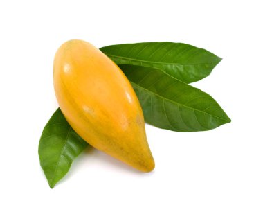 Olgun puteria lucuma meyveleri beyaz arka planda izole