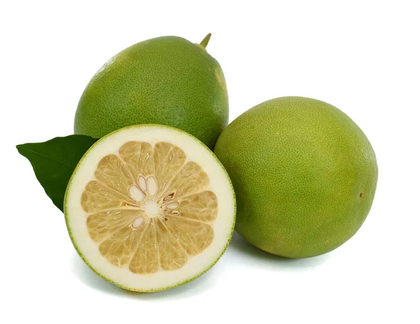 白を基調とした緑色のザクロ柑橘類 — ストック写真