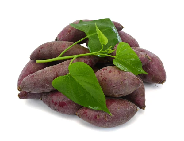 Fresh purple sweet potato isolated on the white background