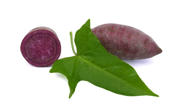 Verse Paarse Zoete Aardappel Geïsoleerd Witte Achtergrond — Stockfoto