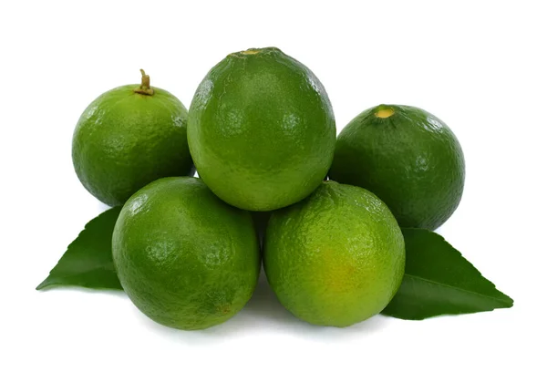 Citrusfélék Fehér Alapon Izolált Gyümölcse — Stock Fotó