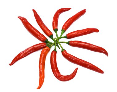 Kırmızı kuş biberi beyaz arkaplanda izole edilmiş