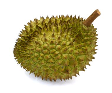 Meyve kralı, durian beyaz arka planda izole edilmiş.