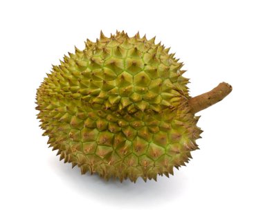 Meyve kralı, durian beyaz arka planda izole edilmiş. 