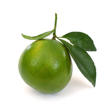 beyaz zemin üzerinde olgun mandalina meyveleri (Citrus deliciosa Tenore) izole