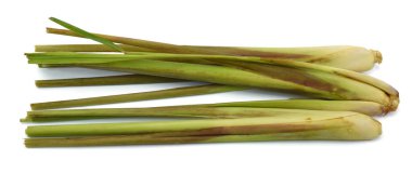 Beyaz arkaplanda taze limon otu izole edildi