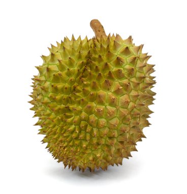 Meyve kralı, durian beyaz arka planda izole edilmiş.