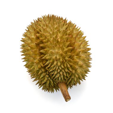 Meyve kralı, kesme yolu ile beyaz arkaplanda izole durian