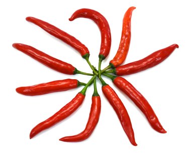 Kırmızı kuş biberi beyaz arkaplanda izole edilmiş