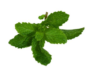 Beyaz arkaplanda izole edilmiş nane yaprağı