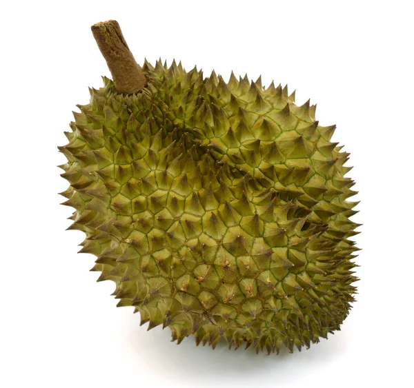 Roi Des Fruits Durian Isolé Sur Fond Blanc Avec Chemin Images De Stock Libres De Droits