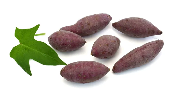 Fresh Purple Sweet Potatos Leaf Isolated White Background — Stok Foto