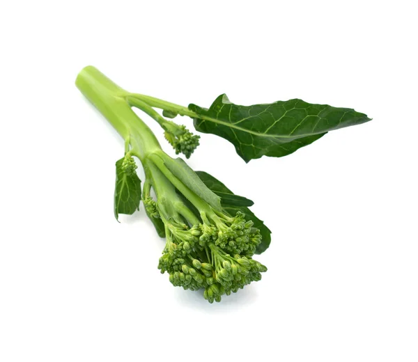 Broccoli Freschi Vegetali Isolati Fondo Bianco — Foto Stock